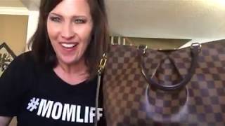 LOUIS VUITTON DAMIER EBENE SIENA MM BAG – The Lavish Loft