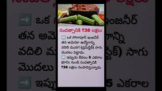 Earn 36 Lakhs With Drumstick Farming Moringa Business Idea 2026 Low Investment High Profit