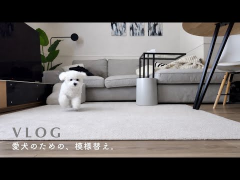リビングの模様替えをした日｜12帖LDKレイアウト｜ふたり暮らし×ビションフリーゼのサムネイル