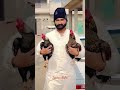 Sardar Muzamil Ballu K 2 Aseel Murghay Cobra or Cheeta #aseelmurga #aseelmurgha #cobra #murgha