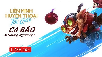 [CÁ HEO NÈ LIVE] LMHT Tốc Chiến : Thánh Nữ Đi Support Freestyle Càng Quét Rank Cuối Tuần Cùng 500 Ae
