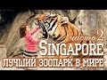 СИНГАПУР | ЛУЧШИЙ ЗООПАРК В МИРЕ | SINGAPORE ZOO