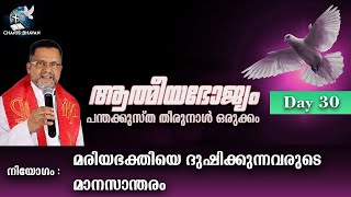 പന്തക്കുസ്താ തിരുനാൾ ഒരുക്കം - 30 | മരിയഭക്തിയെ ദുഷിക്കുന്നവരുടെ മാനസാന്തരം