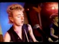 Rock This TownStray cats