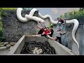 Brave experts rescue beautiful girl from 100 giant pythons.