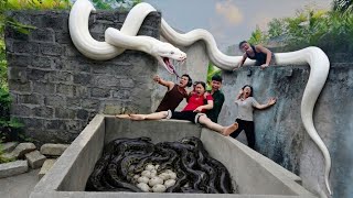 Brave experts rescue beautiful girl from 100 giant pythons.