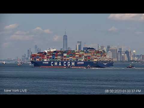 NYC LIVE - HARBOR VIEW - October 14, 2026 - Night and Morning