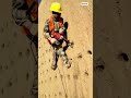 التشجير على منحدر شديد الانحدار رجل يحفر ثقوب ا على منحدر تربة شبه عمودي التشجير على منحدر شديد الانحدار رجل يحفر ثقوب ا على منحدر تربة شبه عمودي
