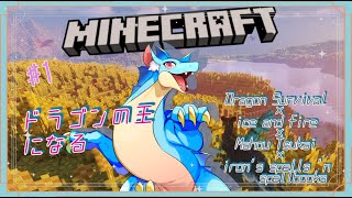 【modマイクラ2】#1 魔法の力でドラゴンの王になる【ふぃるどら】#minecraft