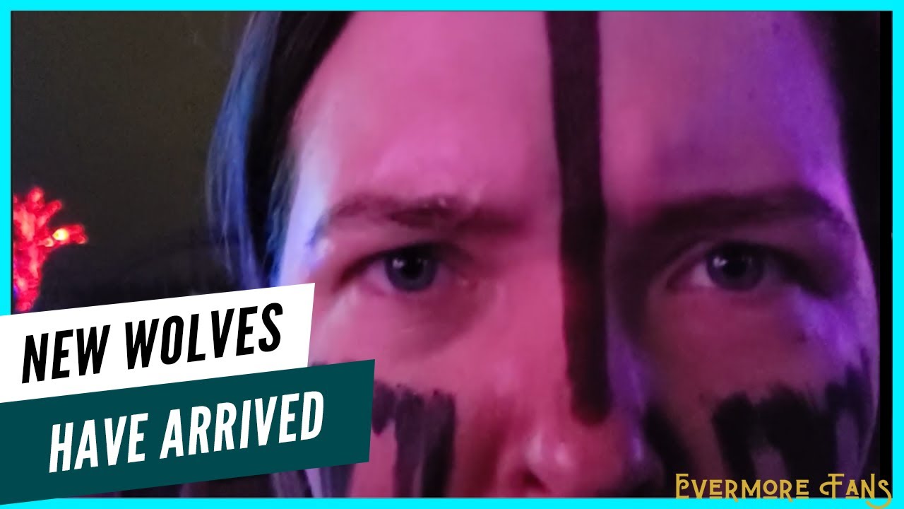 The Pack Grows: New Wolves of Winter Arrive in Evermore - Evermore Park