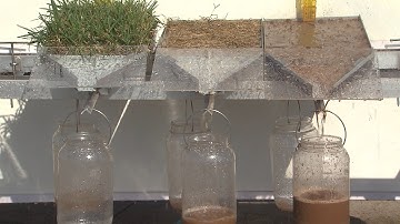 Ground Cover and Water Infiltration