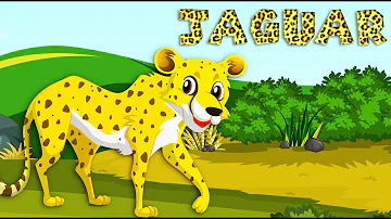 Jaguar Song for Kids | Learn all about jaguar | Animal Songs for Kids #animalsong