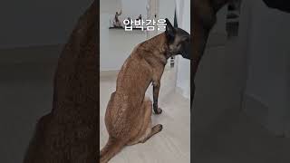 생각보다 이거 해주면 정말 좋아합니다