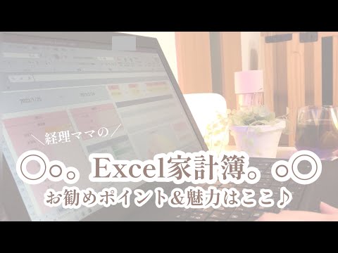 【1分でわかる♪】Excel家計簿/可愛い/おしゃれ/フォーマット/自動分析機能/開始日自由/iPad使用可能/印刷イメージ/入力方法/開始月自由/項目たっぷりver