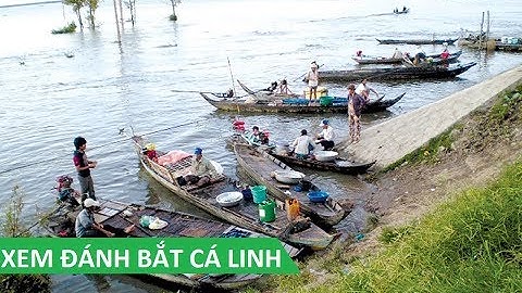AN GIANG MÙA NƯỚC NỔI - XEM ĐÁNH BẮT CÁ LINH