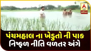 Mudda Ni Vat : Watch Report On Panchmahal  Farmers Wait Crop Fail Policy Compensation | ABP Asmita screenshot 5