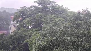 Raining in india soft sound in india screenshot 2