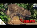 Surviving Prior Extinction!!!