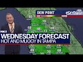 Tampa weather | hot, humid with some clouds May 22, 2024