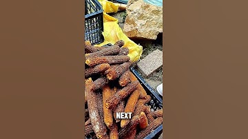 How the Chinese Grow Mushrooms on Corn Cobs #short #mushroom