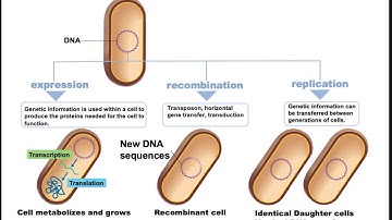 Ch 8 Microbial Genetics Part 1