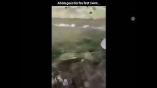 This is my pet duck Adam