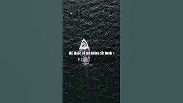 Có 4 điều trong đời, càng im lặng, càng tránh được tai họa #caunoihay #suyngẫm # #dongluc #cuocsong