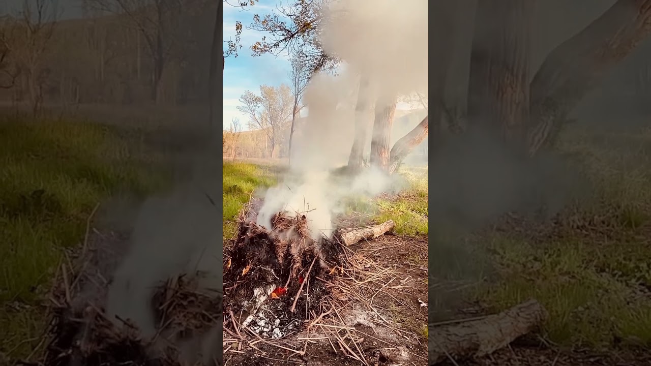 Ey Sevdiğim Benden Ayrı Gezersen #neşetertaş