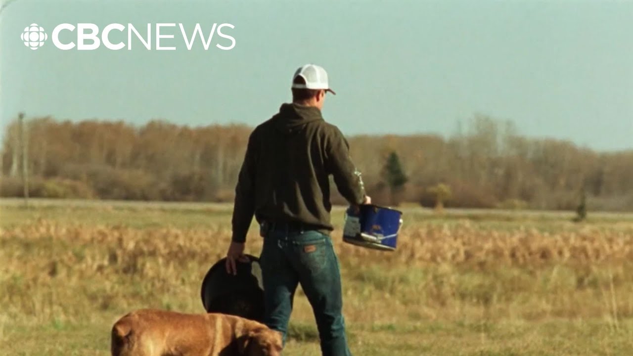 Documentary shines light on the mental health of farmers - YouTube