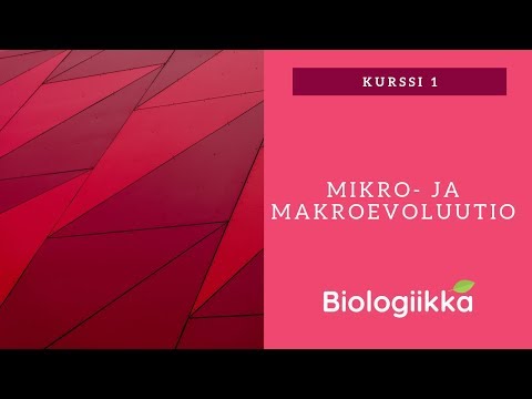 Lajien synty - Mikro-  ja makroevoluutio