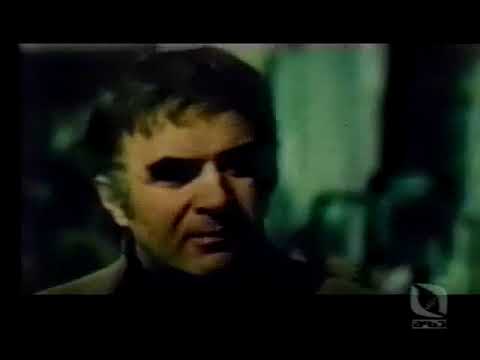 მარადისობის კანონის არსი.  Maradisobis kanonis arsi.