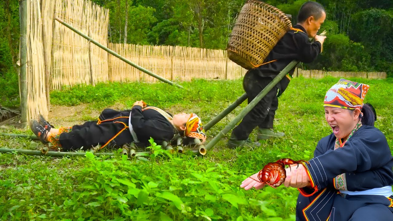 Attacked by a poisonous centipede while harvesting - He made a bamboo stretcher to carry wife home