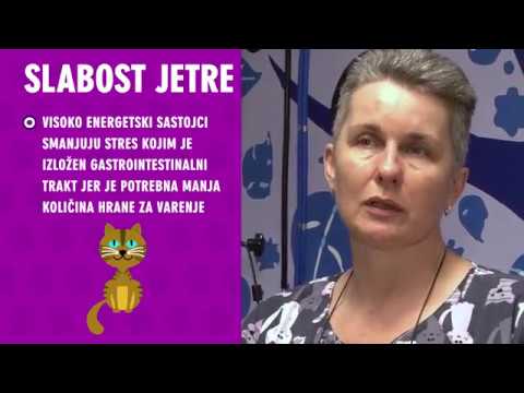 Video: Kako Liječiti Jetru Kod Mačaka