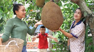 Sreypov Life Show: Pick ripe jack fruit for our recipe/ Family food cooking