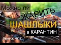 Можно ли жарить ШАШЛЫКИ в период карантина ? (Масенков, выпуск №17) Майские праздники.