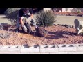 Welders gloves landscaping