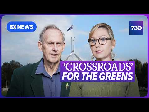 Why the Greens are split over a native forest carbon credits plan | 7.30