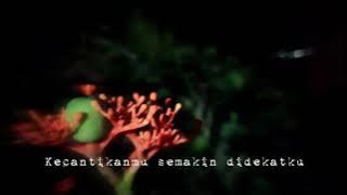 story wa 'dimana kau-closehead' || cover by dwitanty