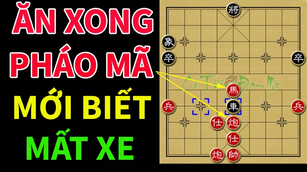 Tuyệt Học Bắt Xe Làm Chấn Động Cả Giới Chơi Cờ Tướng Chuyên Nghiệp