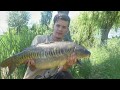 Nolimit carpfishing lhistoire dune passion  trailer 