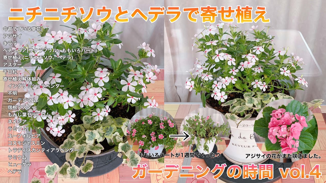 ガーデニング ガーデニングの時間 Vol 4 Youtube