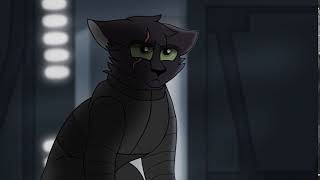 Star Wars Cat PMV MAP: What I Am (Part 15)