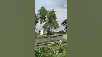 #yutubeshorts #sarawak #malaysia #viewersrequest