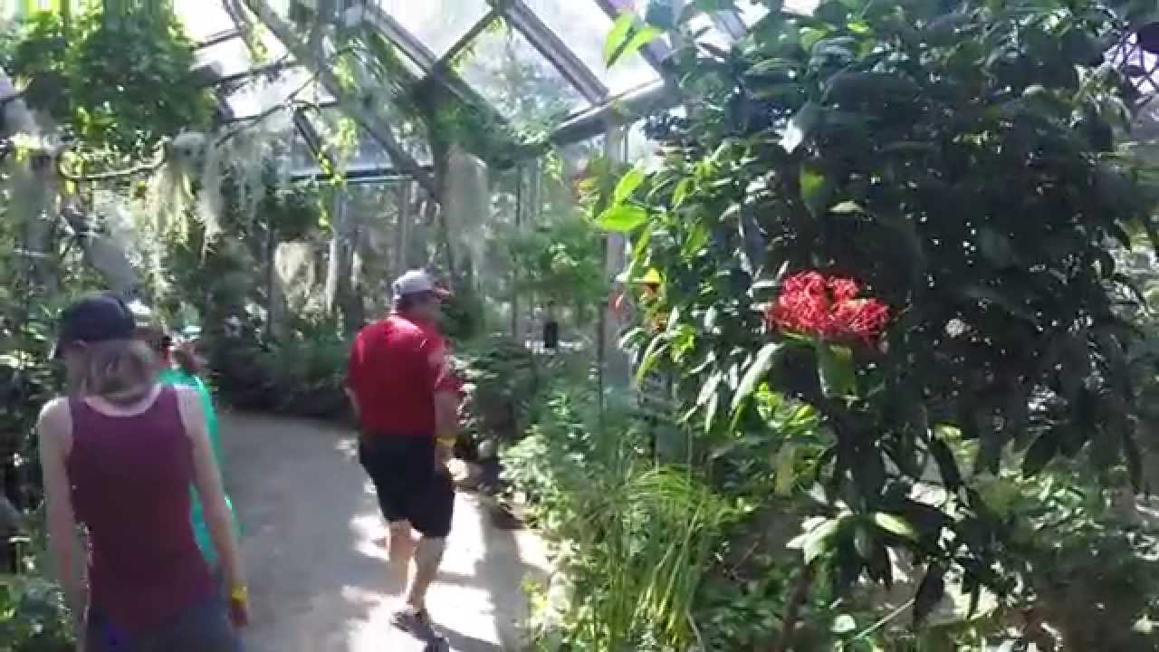 Butterfly Pavilion Omaha Henry Doorly Zoo YouTube