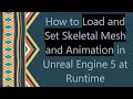 How to Load and Set Skeletal Mesh and Animation in Unreal Engine 5 at Runtime