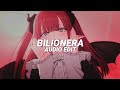 Bilionera Tiktok Remix Slowed Otilia Edit Audio
