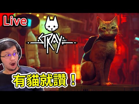 浪貓 Stray | 喵！大結局，化身成為一隻貓在世界探險【秀康直播】