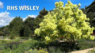 RHS Wisley in June | Plants & Ideas That Caught My Eye // Cottoverdi