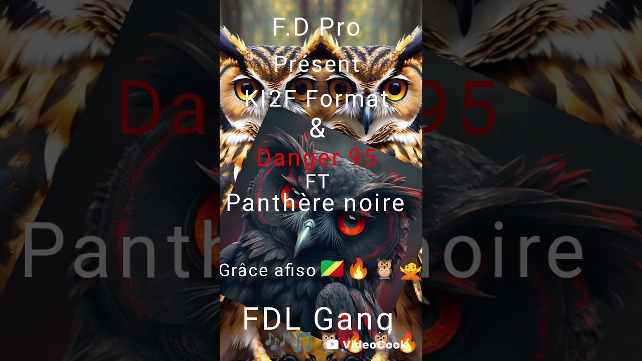 KI2F Format_&_Danger 95  à chaque un son problème ft panthère noire 