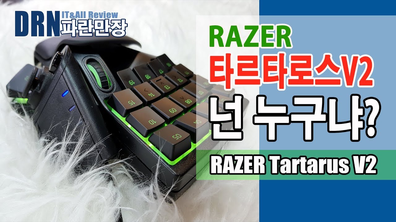 레이저 타르타로스 V2 멤브레인 Or 기계식 게이밍 키패드 ( Razer Tartarus V2 )ㅣ Drn 파란만장 - Youtube